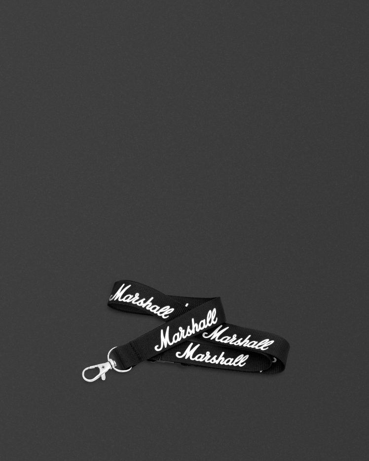 Lanyard